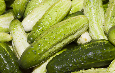 Image showing washed green ripe cucumbers