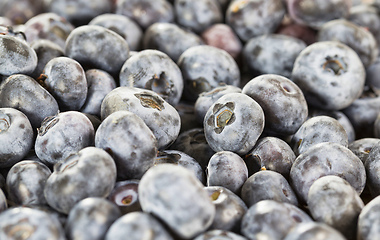 Image showing blueberry berries