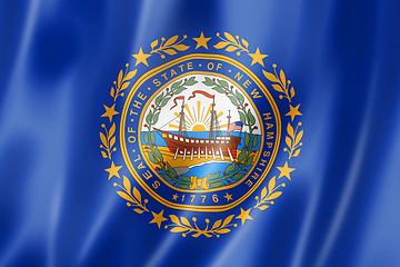 Image showing New Hampshire flag, USA