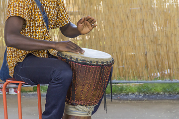 Image showing african dlembe player