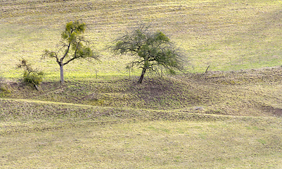 Image showing rural landscape in Hohenlohe