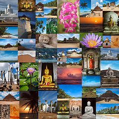 Image showing Collage of Sri Lanka images