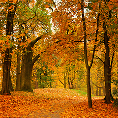 Image showing Autumn valley