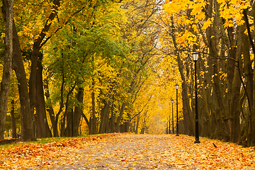 Image showing Autumn park