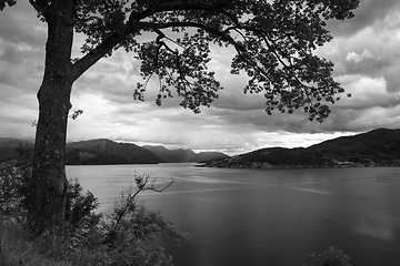 Image showing Hardangerfjord, Hordaland, Norway