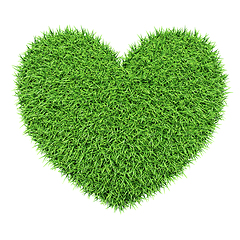 Image showing Green heart made of grass isolated on white