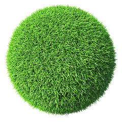 Image showing Green grass sphere isolated