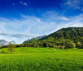 Image showing Alpine meadow in Bavaria, Germany