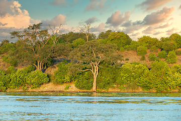 Image showing Chobe river landscape Botswana, Africa