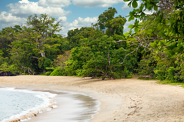 Image showing beach in Masoala forest reserve, Madagascar