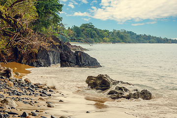 Image showing beach in Masoala forest reserve, Madagascar