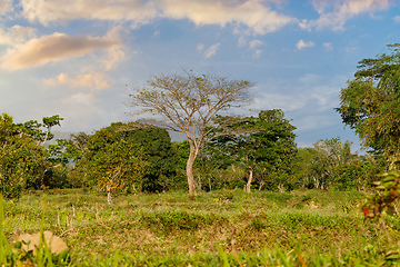 Image showing beautiful Madagascar wilderness landscape