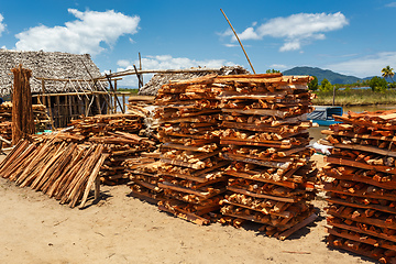 Image showing firewood on street marketplace, Maroantsetra Madagascar