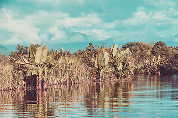 Image showing beautiful Madagascar wilderness landscape