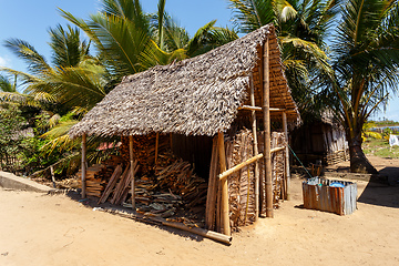 Image showing firewood on street marketplace, Maroantsetra Madagascar