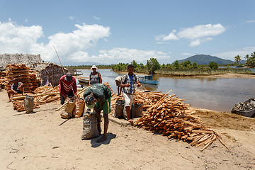 Image showing Malagasy woman on street sell firewood, Madagascar