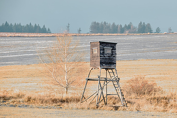 Image showing Wooden hunting tower in forest