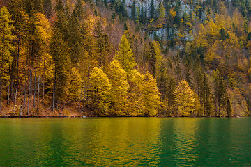 Image showing Autumn forest trees reflecting in lake