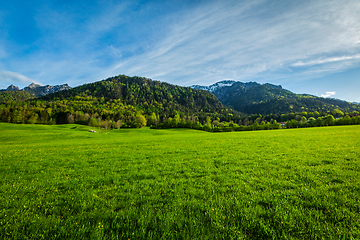 Image showing Alpine meadow in Bavaria, Germany