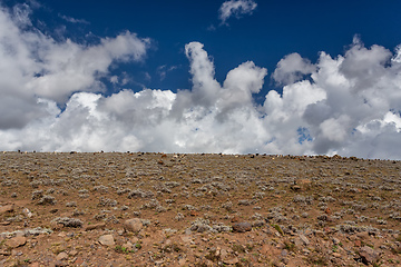 Image showing Ethiopian Bale Mountains landscape, Ethiopia Africa