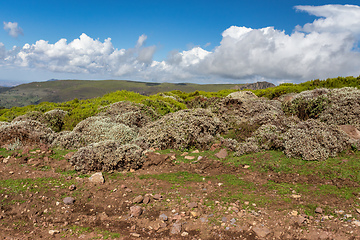 Image showing Ethiopian Bale Mountains landscape, Ethiopia Africa