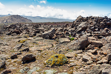 Image showing Ethiopian Bale Mountains landscape, Ethiopia Africa