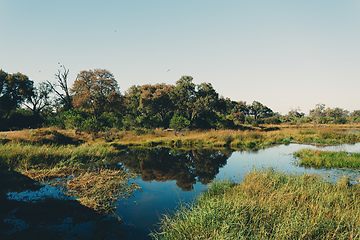 Image showing Moremi game reserve landscape, Botswana Africa wilderness