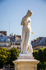 Image showing The Nymph statue in Tuileries Garden, Paris