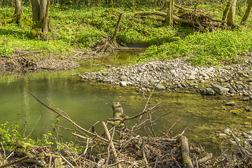 Image showing waterside scenery at spring time