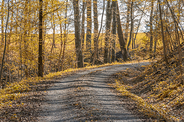 Image showing idyllic forest and field path