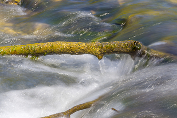 Image showing bough and flowing water