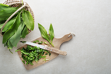 Image showing Ramson wild garlic 