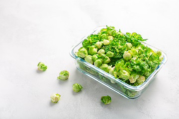 Image showing Fresh  organic green brussel sprouts and small winter cabbage vegetable in glass container, ready to freeze