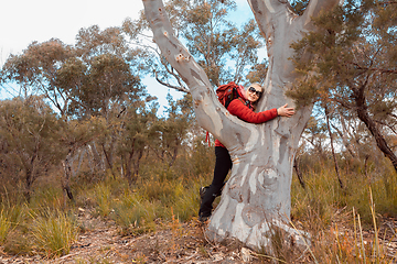 Image showing Female hug a grand old gum tree in Australian bushland