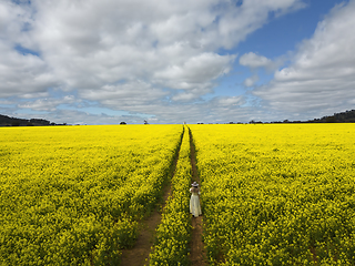 Image showing Woman in a field of yellow flowering canola crop farm