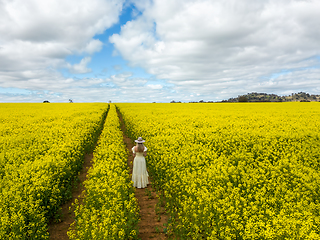 Image showing Female stands in a crop of flowering canola in spring time