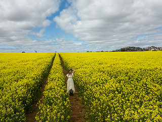 Image showing Woman walking through a field of yellow canola flowers