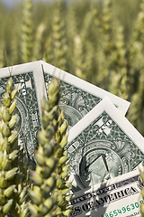 Image showing one American dollar pile , agricultural business