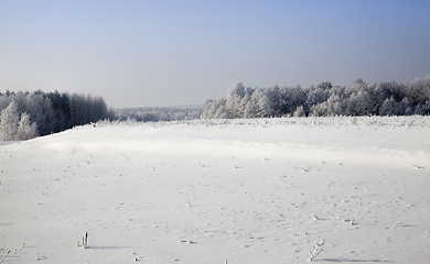 Image showing winter landscape with snow