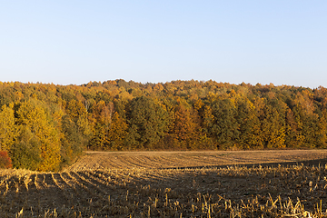 Image showing agricultural field