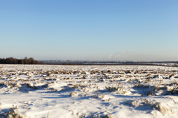 Image showing snow-covered grass