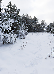 Image showing winter day after a snowfall