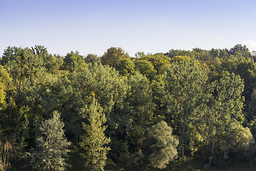 Image showing autumn park sunlight