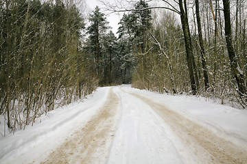 Image showing details of the snow-covered road in forest