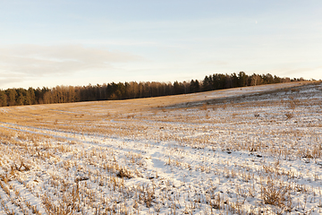 Image showing Winter season. Photo