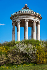 Image showing Englischer Garten. Munich, Germany