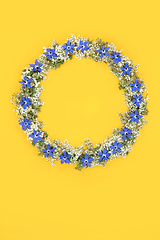 Image showing Borage Flower and Elderflower Wildflower Wreath