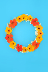 Image showing Summer Flowers Wreath with Nasturtium and Elderflowers