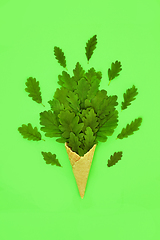 Image showing Surreal Bizarre Summer Oak Tree Leaf Ice Cream