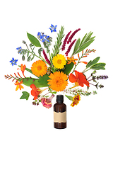 Image showing Surreal Summer Flower and Herb Splash for Essential Oil Treatmen